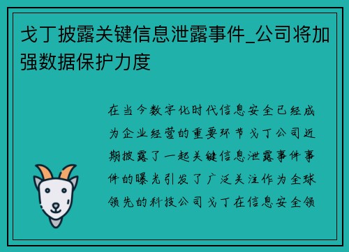 戈丁披露关键信息泄露事件_公司将加强数据保护力度